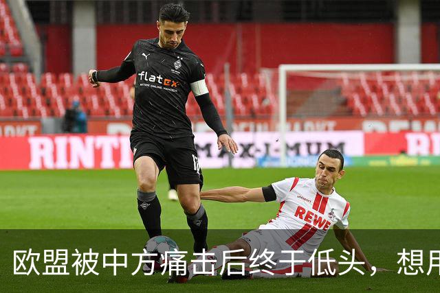 欧盟被中方痛击后终于低头,想用一换一来救阿斯麦供应商